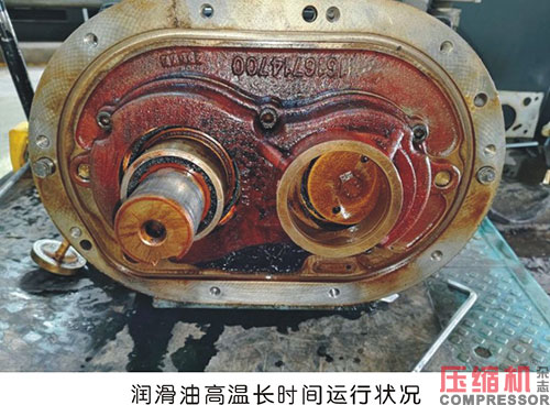 20251125599064.jpg 13.JPG